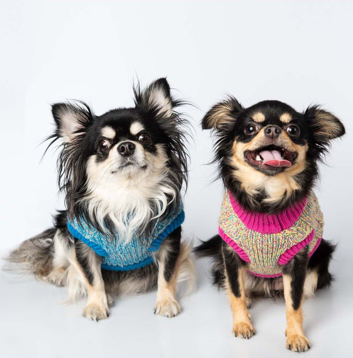 PET-3 (Dozen Pack)