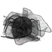 S10-3859 - CHEVEUX CORP.