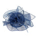 S10-3859 - CHEVEUX CORP.