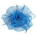 S10-3859 - CHEVEUX CORP.
