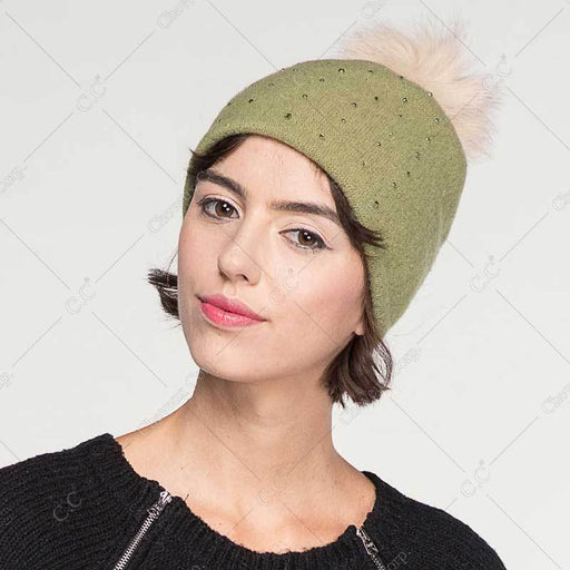 CC-4017 - CHEVEUX CORP.