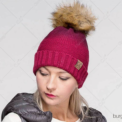 HAT-101 POM - CHEVEUX CORP.